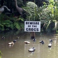 beware-of-crocs.jpg