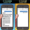 cat-vs-dog-texts.webp