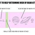 chart-bear-attack.jpg