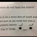 do-not-feed-the-intern.jpg