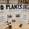 do-plants-sneeze.jpg