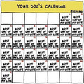 dogs-calendar.jpg