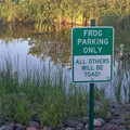 frog-parking.jpg