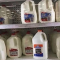 glue-milk-jug.jpg