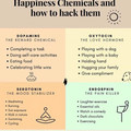 happiness-chemicals.webp