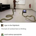 indtoductory-python.jpg