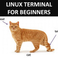 linux-terminal-commands.jpg