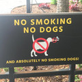 no-smoking-dogs.jpg