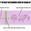 risk-of-bear-attack.jpg