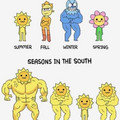 seasons-in-the-south.jpg