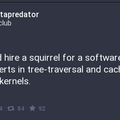 squirrel-programmer.png